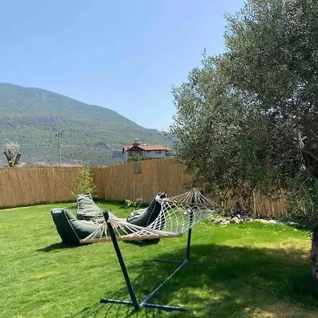 Aslan Denize Yakin Merkeze Yakin Villa