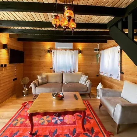 Villa Aslan Denize Yakin Merkeze Yakin Fethiye